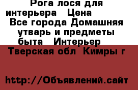 Рога лося для интерьера › Цена ­ 3 300 - Все города Домашняя утварь и предметы быта » Интерьер   . Тверская обл.,Кимры г.